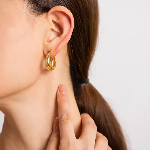 JDET682 18K gold stainless steel zirconia chubby earrings