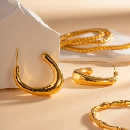JDET412 18K Gold Stainless Steel Earrings Jewelry