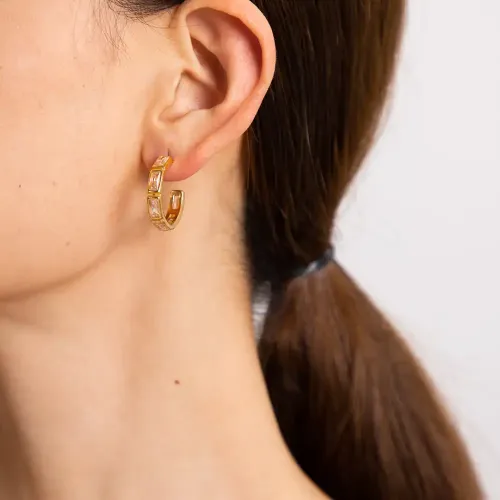 JDET836 18K gold stainless steel zircon C-shaped women's earrings