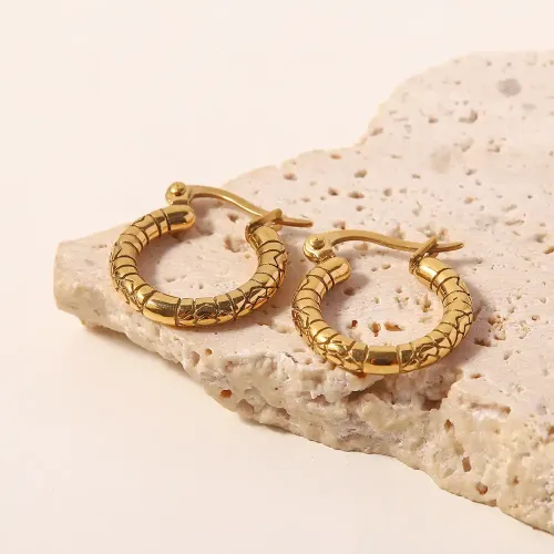 JDET892 Women's Titanium Steel Stainless Steel Circle Texture Hypoallergenic Earrings Jewelry