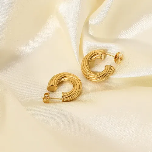 JDET29 Stainless steel twisted earrings