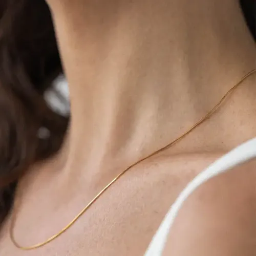 ZTNT135 Chic 18K Gold-Plated Snake Bone Chain Necklace Stainless Steel Women's Jewelry