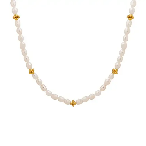 FXNT239 Elegant Freshwater Pearl Necklace with Gold Accents Chic Jewelry Accessory