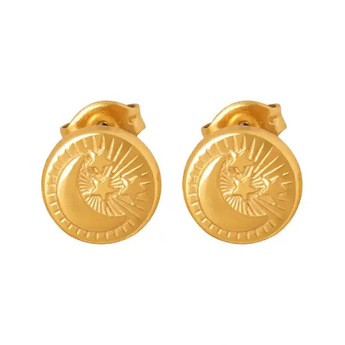 FXET25 Gold -plated relief star moon stainless steel earrings