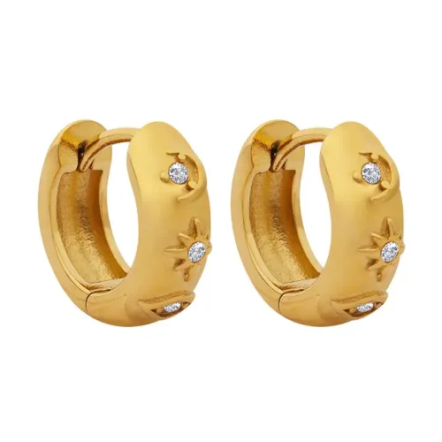 FXET229 Earrings gold -plated inlaid vermiculite ear decoration female