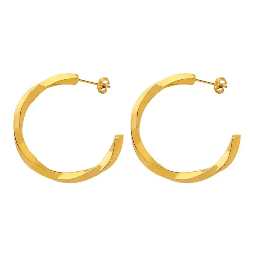 FXET534 Hong Kong University Circle Micro Twist Earrings Jewelry