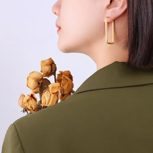 FXET360 Prime Earrot Plating 18K Golden Earrings Factory wholesale