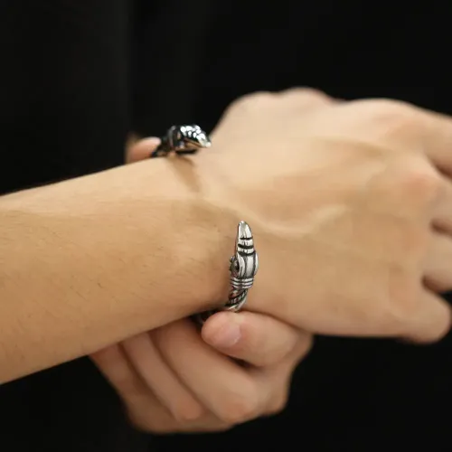 BTM109 Titanium steel twist bracelet open stainless steel eagle head bracelet for men