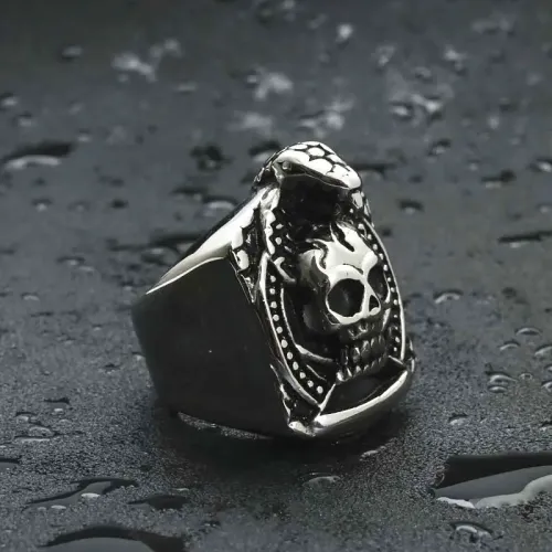 RTM1971 Stainless Steel Skull Ring with Snake Design Punk Jewelry for Men