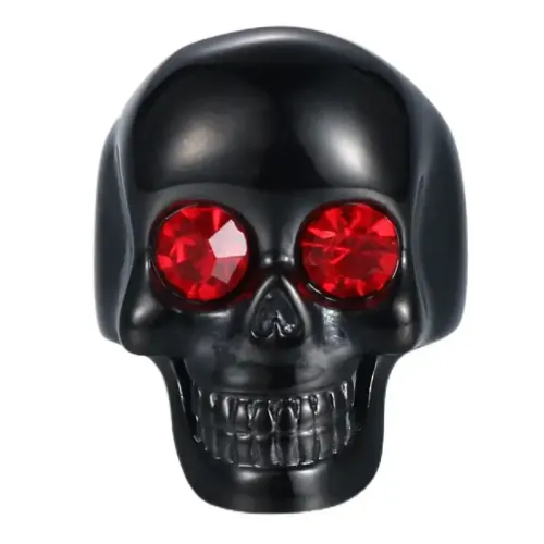 RTM626 Men's Titanium Steel Skull Ring Religious Totem Jewelry for Him