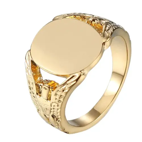 RTM635 Eagle Men's Ring Titanium Steel Jewelry for Strong Masculine Style