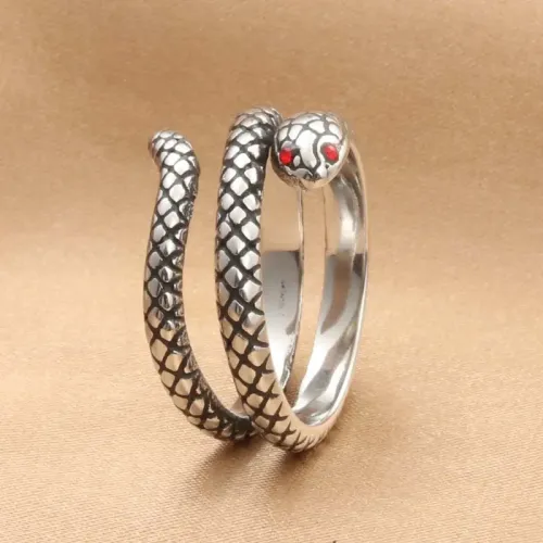 RTM1996 Snake Ring in Stainless Steel Unique Jewelry for Men & Women
