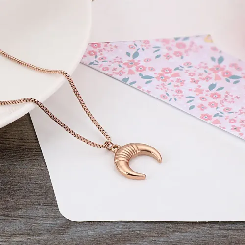 NTM2658 Gold Moon Pendant Choker Necklace for Women Perfect Clavicle Chain Gift
