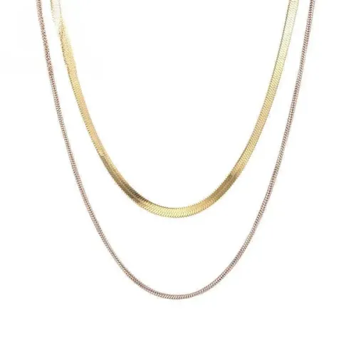 NTM2660 Double Layered Snake Bone Chain Necklace for Women Short Stainless Steel Clavicle Chain