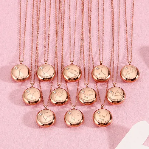 NTM2687 Rose Gold Zodiac Diamond Pendant Stainless Steel Necklace for Women