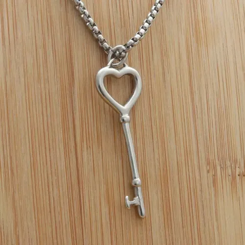 NTM1983 Vintage Key Pendant Punk Stainless Steel Key Necklace