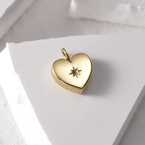NTM3938 14k Gold Chili Bird Diamond Heart Pendant Stainless Steel Jewelry Accessory