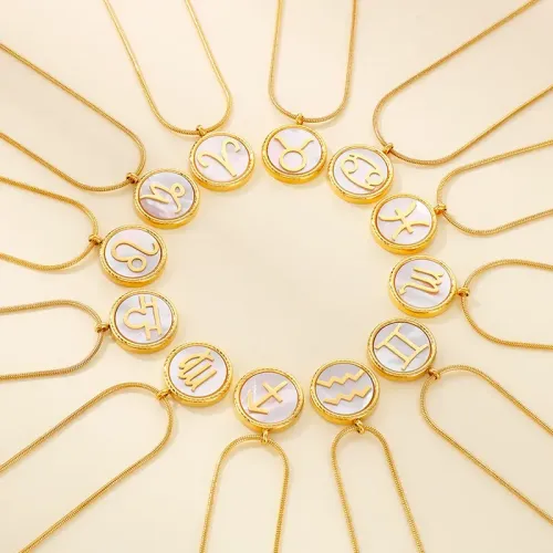 NTM2877 Stainless Steel Shell Zodiac Sign Pendant Round Sweater Chain Clavicle Necklace for Women