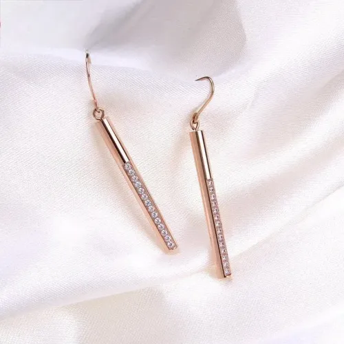 ETM530 Elegant Stainless Steel Single Row Diamond Earrings for Women Titanium Hooks