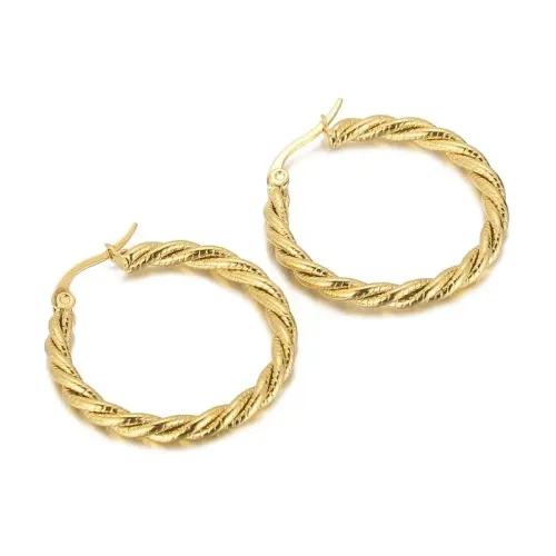 ETM356 Unique Titanium Steel Hoop Earrings Stylish Circle Ear Loops