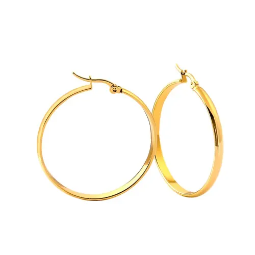 ETM499 Gold Plated Titanium Steel Hoop Earrings Round Wire Clasp Jewelry for Elegant Style