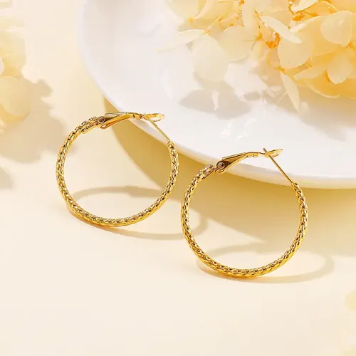 ETM303 Geometric Circle Titanium Steel Earrings for Women Modern Ear Decor