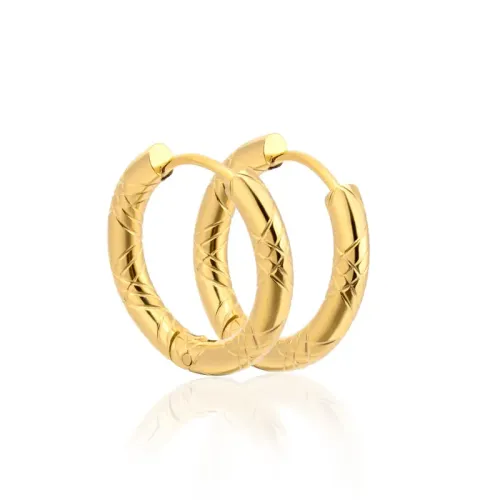 ETM522 Gold Stainless Steel Hoop Earrings for Women Titanium Hip Hop Ear Accessories