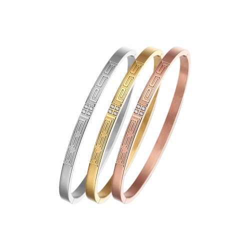 B035 classic Stainless steel bracelet bangle jewelry