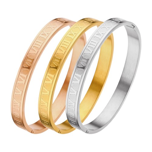 B024 classic Stainless steel bracelet bangle jewelry