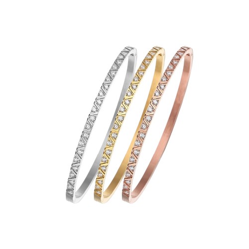 B075 classic Stainless steel bracelet bangle jewelry