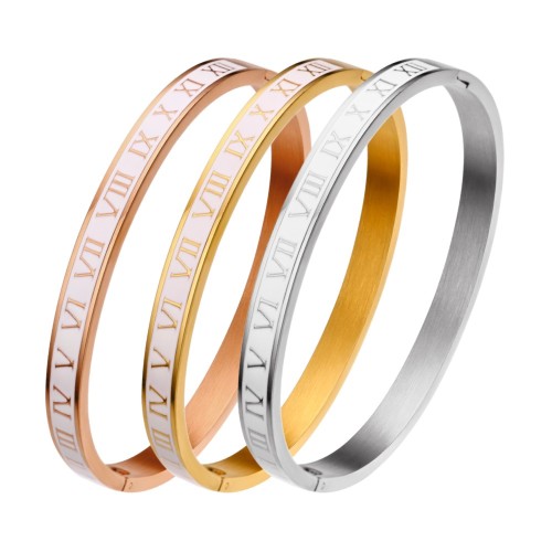 B046 classic Stainless steel bracelet bangle jewelry