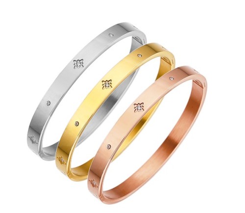 B050 classic Stainless steel bracelet bangle jewelry