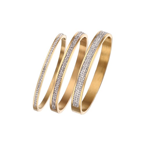 B010 classic Stainless steel bracelet bangle jewelry