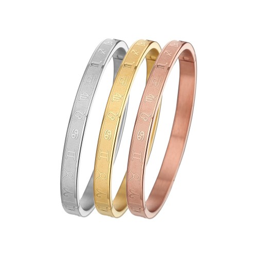 B061 classic Stainless steel bracelet bangle jewelry