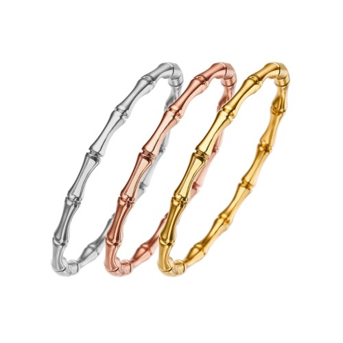 B070 classic Stainless steel bracelet bangle jewelry