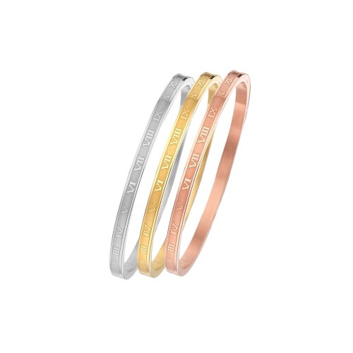 B054 classic Stainless steel bracelet bangle jewelry