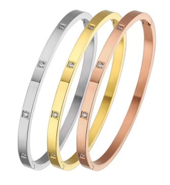 B013 classic Stainless steel bracelet bangle jewelry