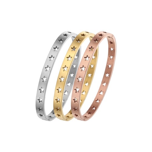 B088 classic Stainless steel bracelet bangle jewelry