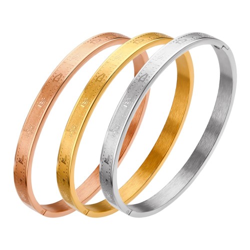 B060 classic Stainless steel bracelet bangle jewelry