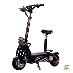 electric scooter X6