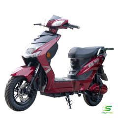 Scooter électrique pour adultes EM6