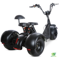 HL07 city coco 3 wheels electric scooter