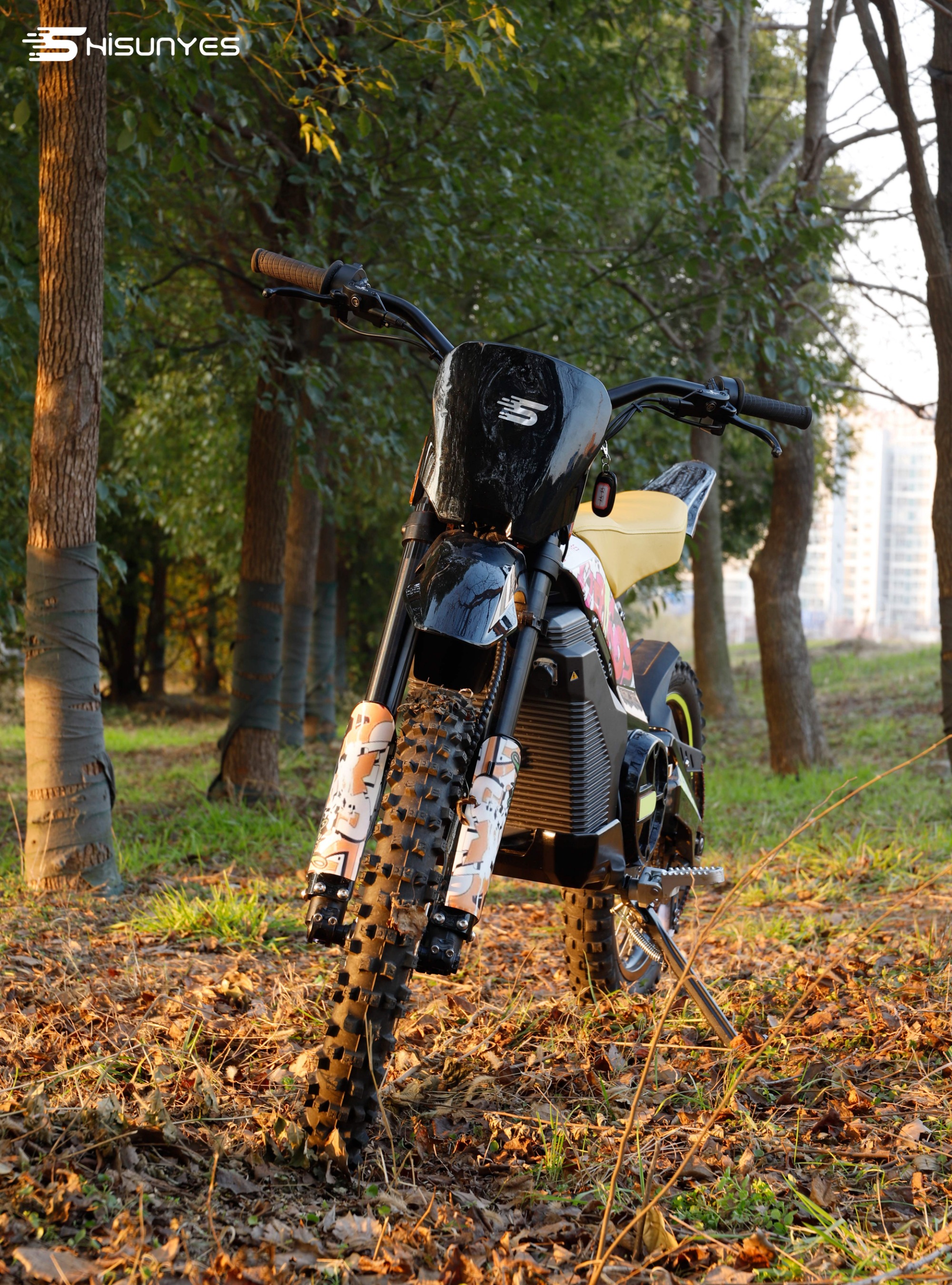 the electric motorcycle S80
