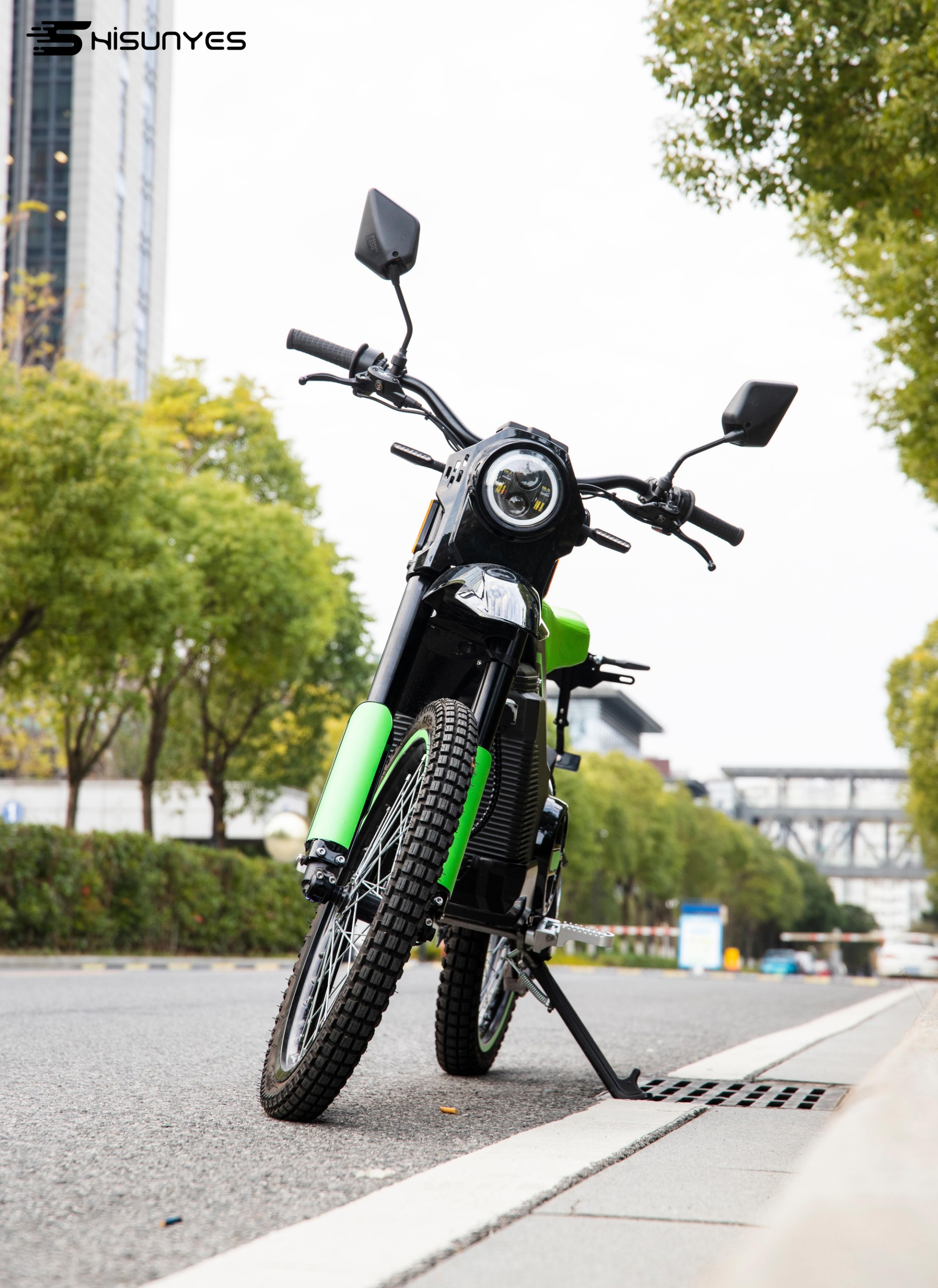 electric motorcycle S80 road（EEC）