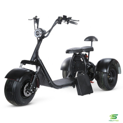 Citycoco hl07 trois roues scooter électrique