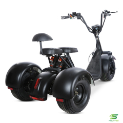 Трехколесный электрический скутер Citycoco HL07