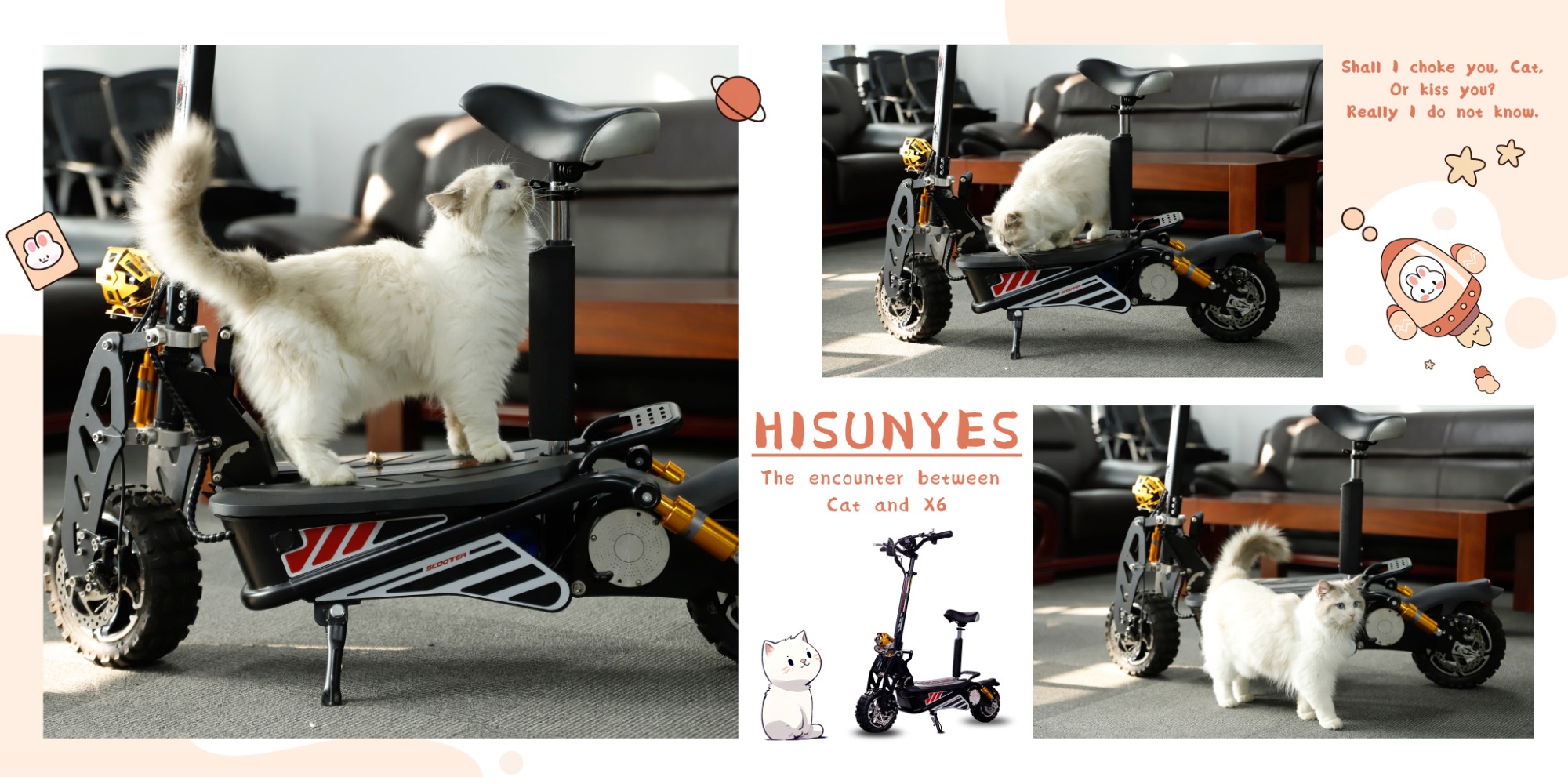 Um dia maravilhoso para gatinhos e scooter elétrico x6.