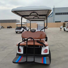 6 Seats Electric Tourist Sightseeing Car