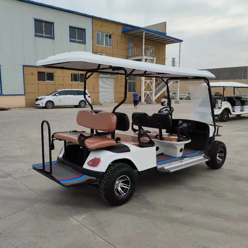 6 Seats Electric Tourist Sightseeing Car