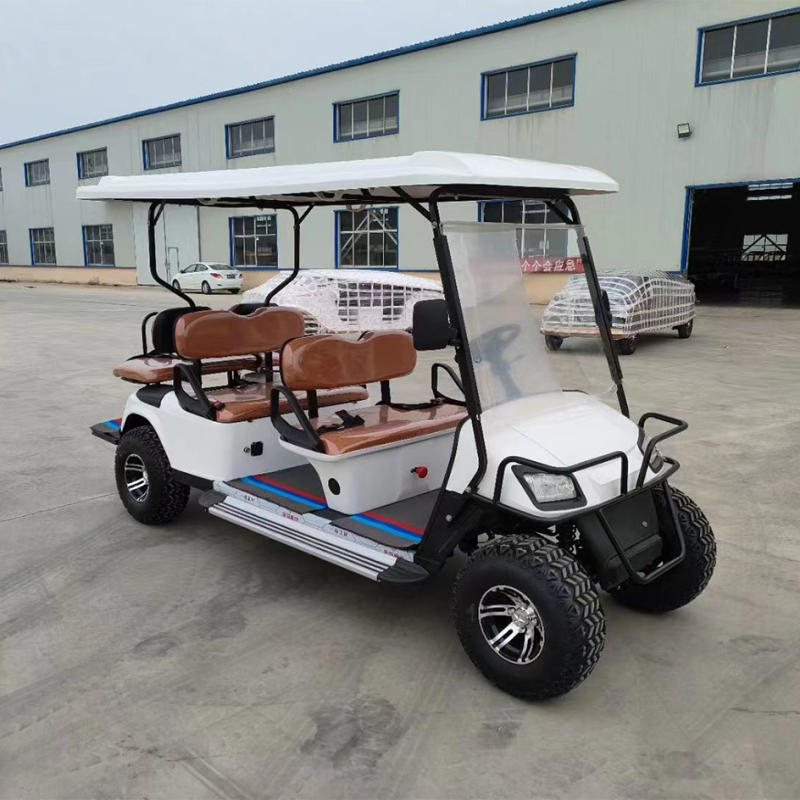 6 Seats Electric Tourist Sightseeing Car